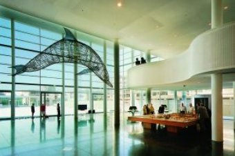 Dolfijn kunstwerk Chiarenza Centre Céramique